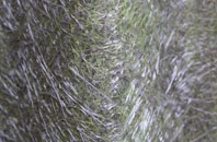 Newton Abbot fibreglass roof work