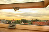 rated Newton Abbot roof window companies